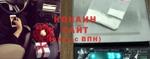 дживик Абаза
