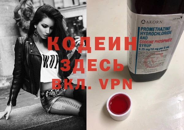 дживик Абаза