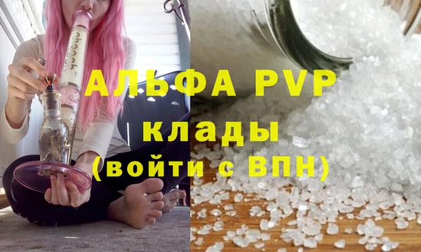 дживик Абаза