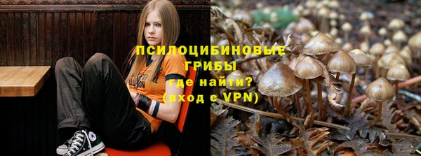 дживик Абаза