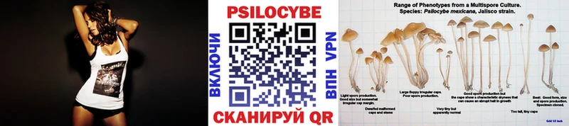 сайты даркнета наркотические препараты Нефтегорск Псилоцибиновые грибы мицелий где можно купить наркотик kraken как войти
